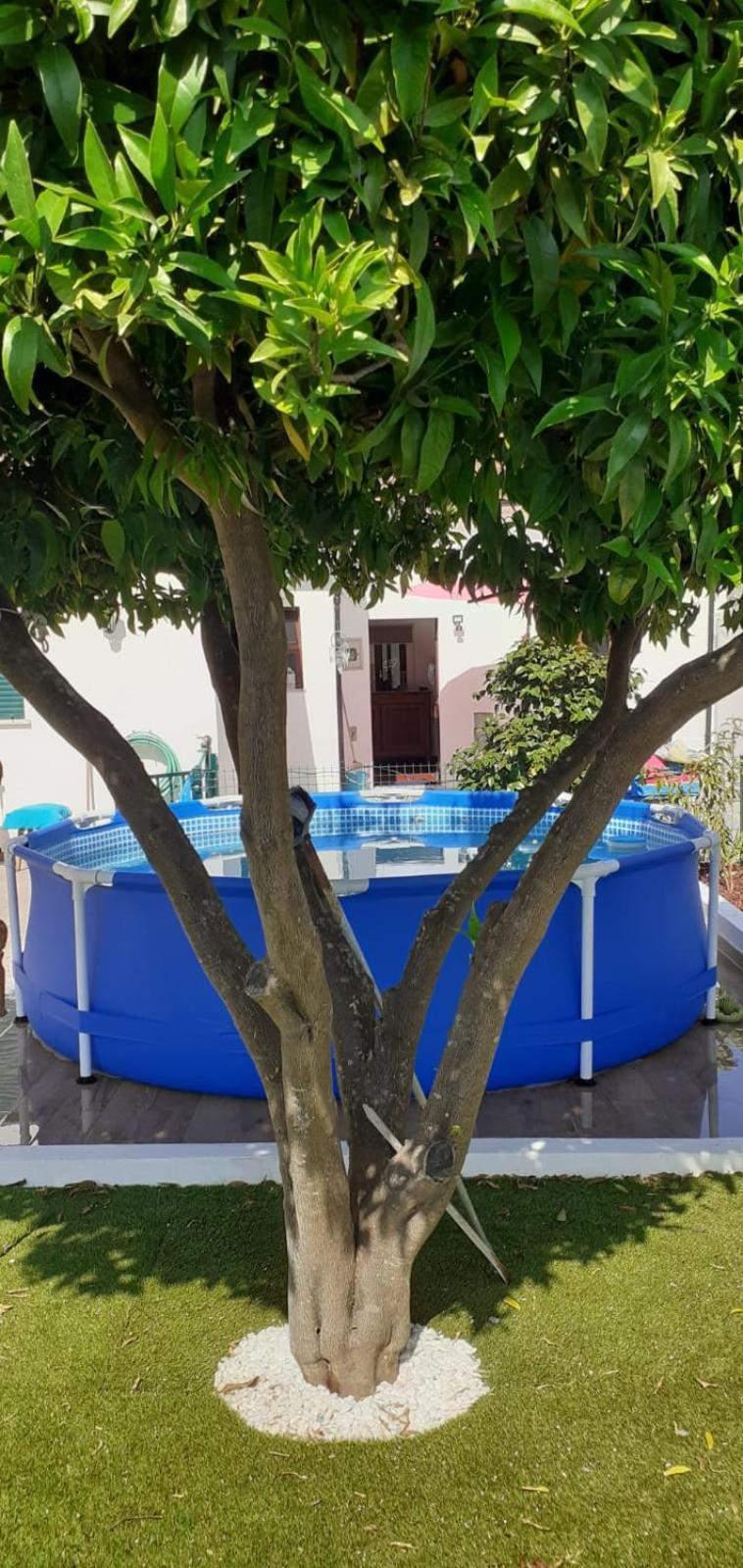 Cantinho Dos Moinhos Montemor-o-Velho Exterior foto