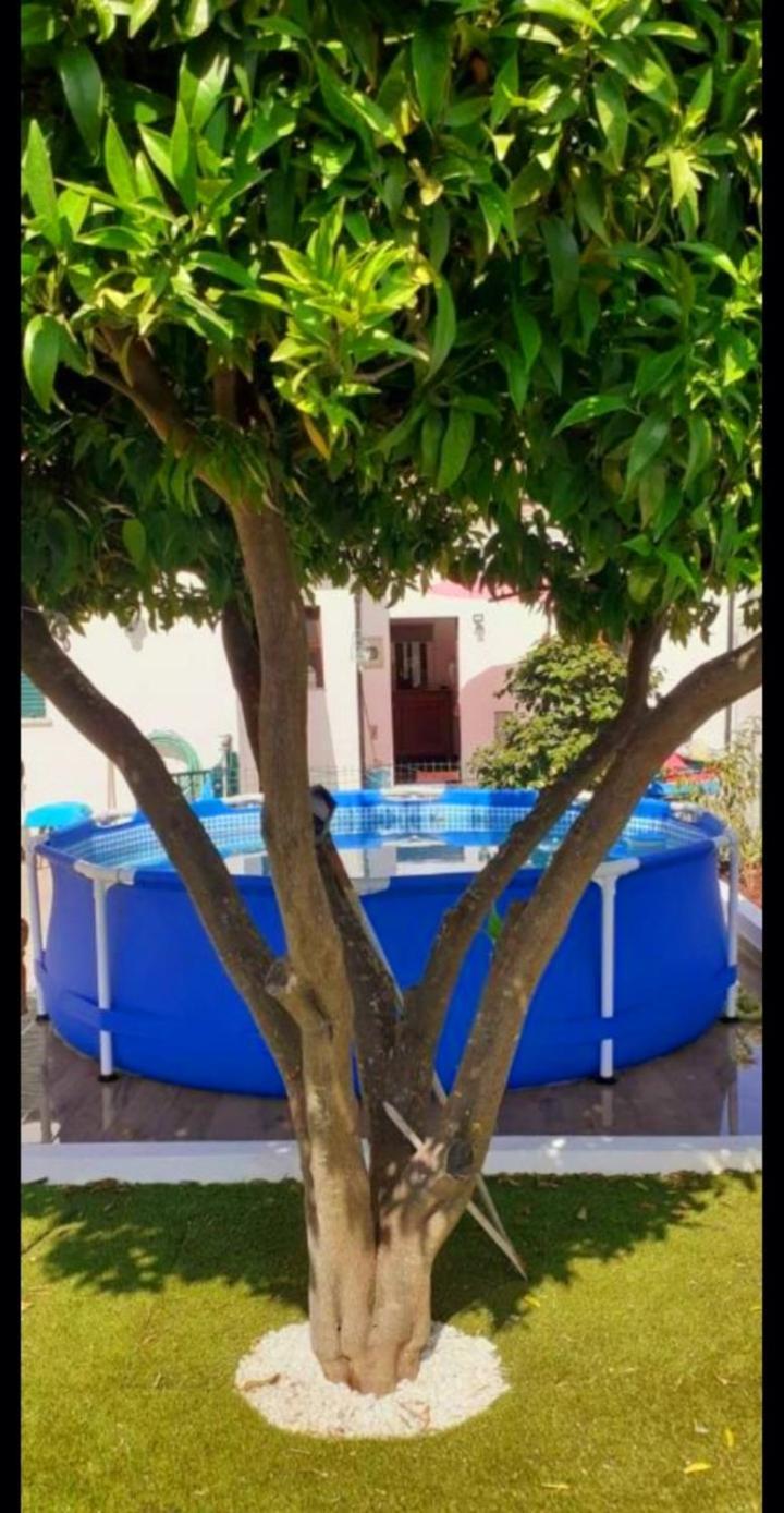 Cantinho Dos Moinhos Montemor-o-Velho Exterior foto